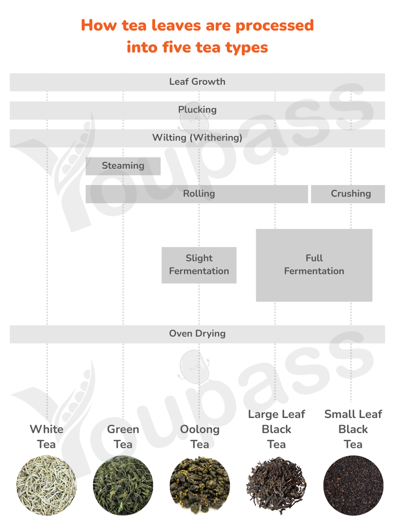 Uploaded chart